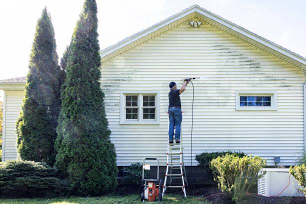 Best Pressure Washing Near Me  in Hamburg, AR